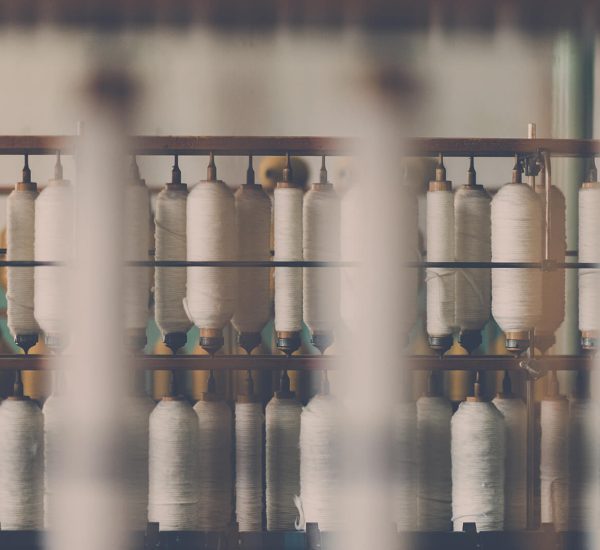 janko ferlic 150572 unsplash